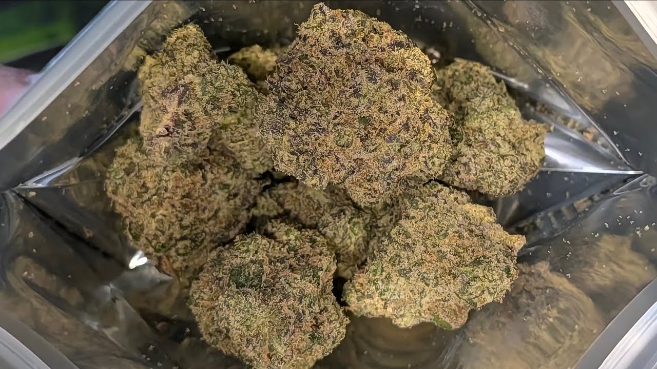 THCA SMALL BUDS | TIGERS MILK🐯🥛🔥|Indoor Section | Thca Review!! Tsb Small Buds!!