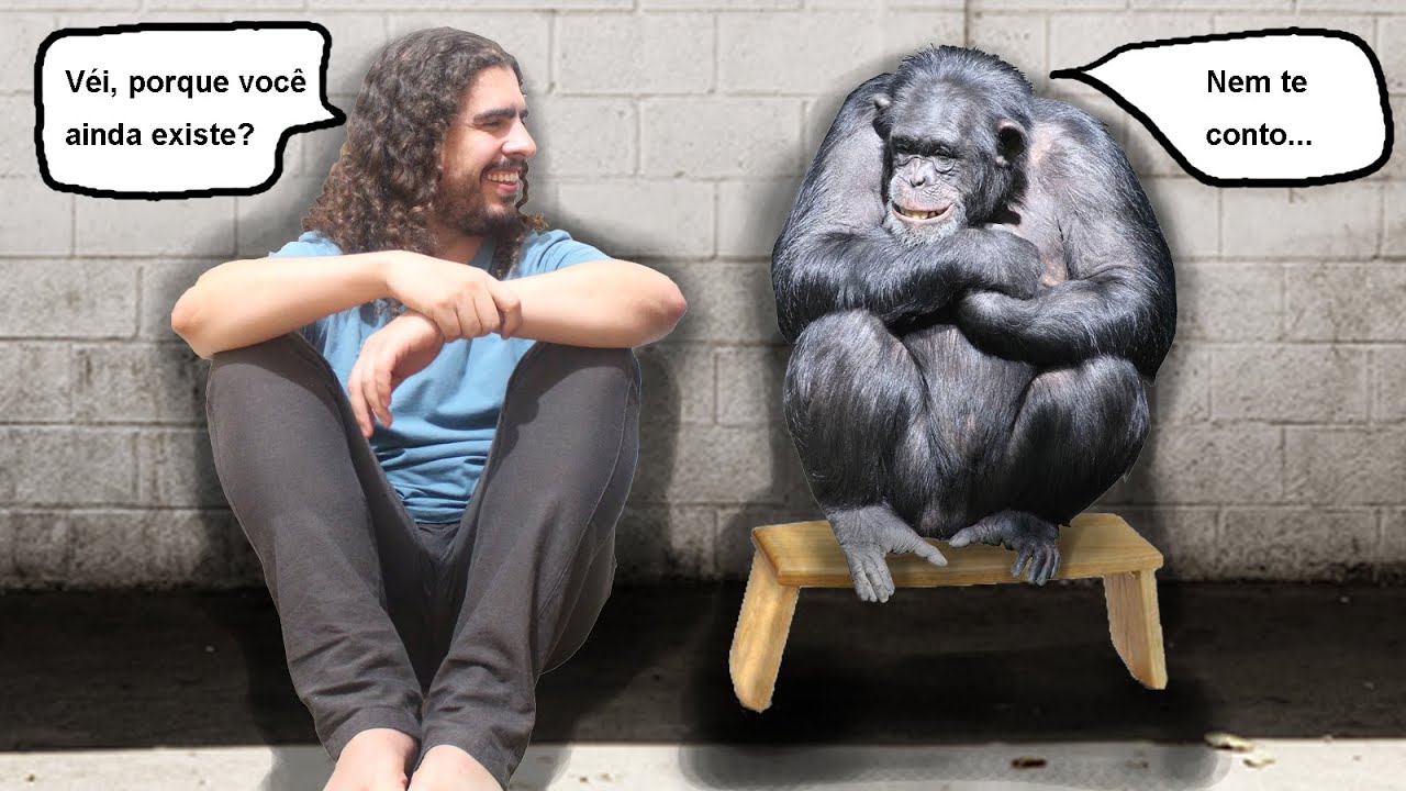 P.C.R.Evo [1] - Por que ainda existem macacos? (#Evolução)