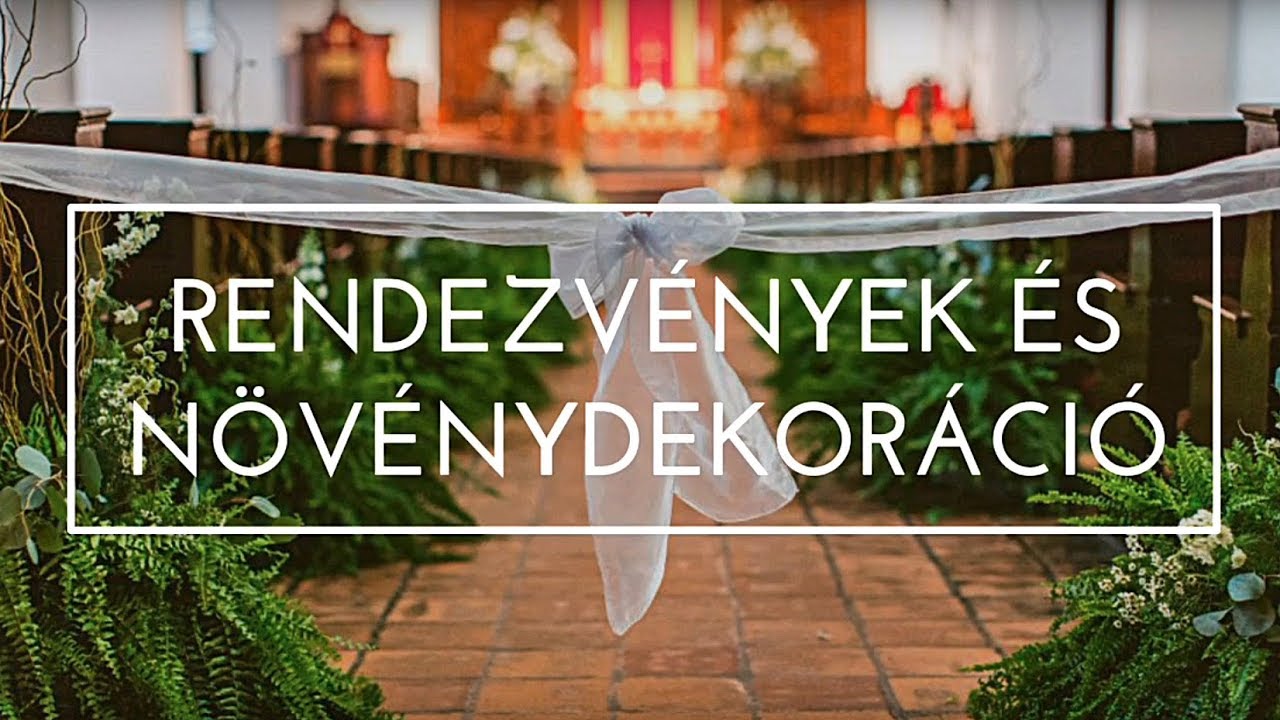 Rendezv&eacute;nyek &eacute;s n&ouml;v&eacute;nydekor&aacute;ci&oacute; - Fitoland Kert&eacute;szet