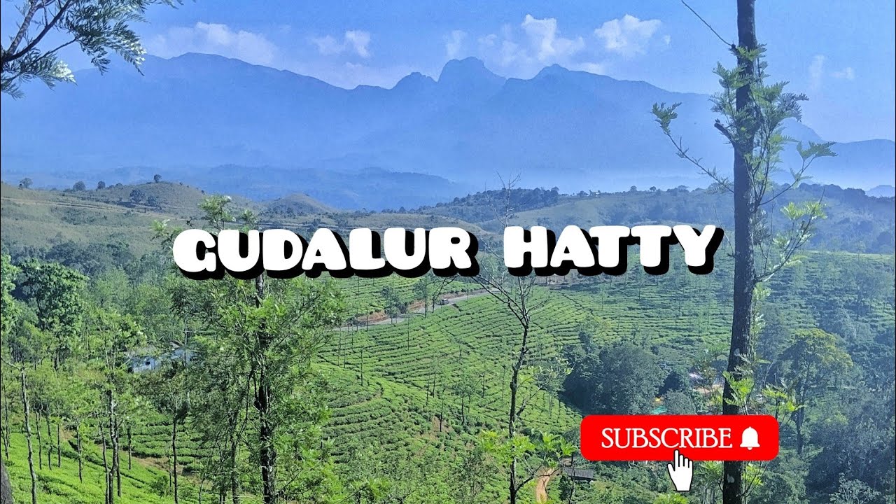 Gudalur Hatty ||malayalalam ||travel ||vipuzz vipu||
