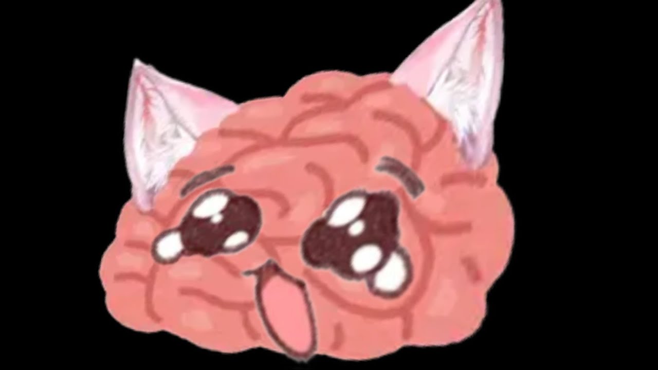 ??? : 엄청 귀엽잖아