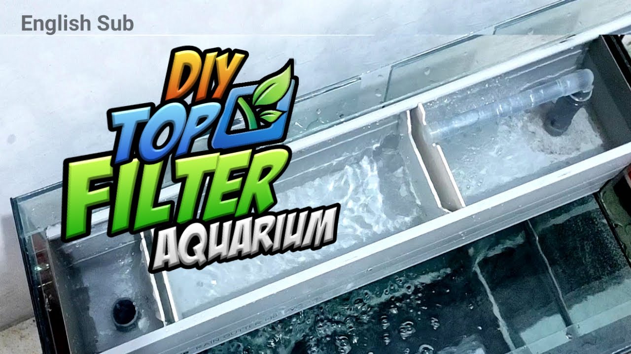 Membuat Top Filter Aquarium