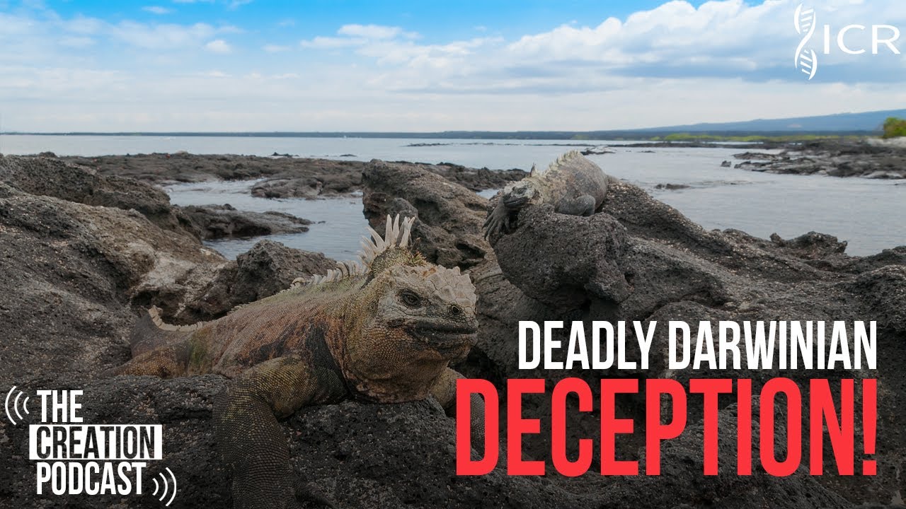 Did Darwin Deceive Us? CET Pt. 1 | The Creation Podcast: Episode 21
