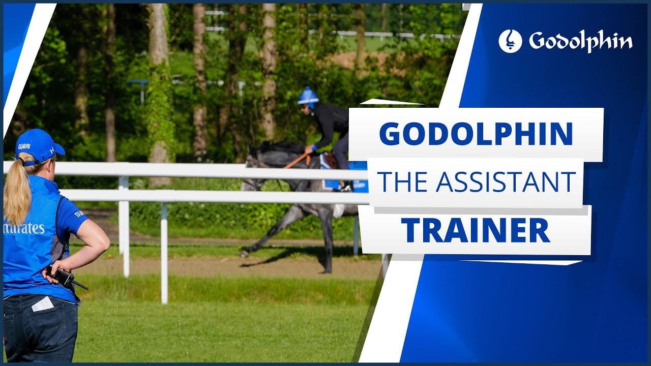 The Assistant Trainer