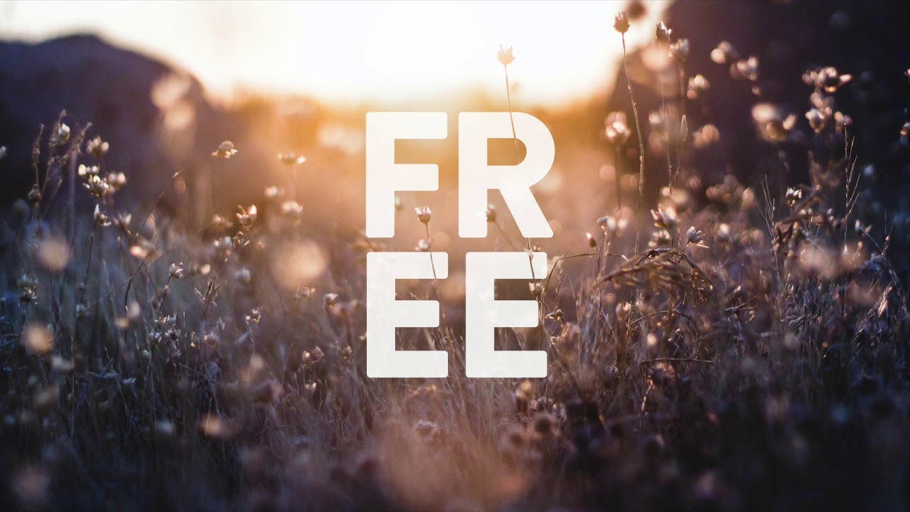 Free - Simon Wester