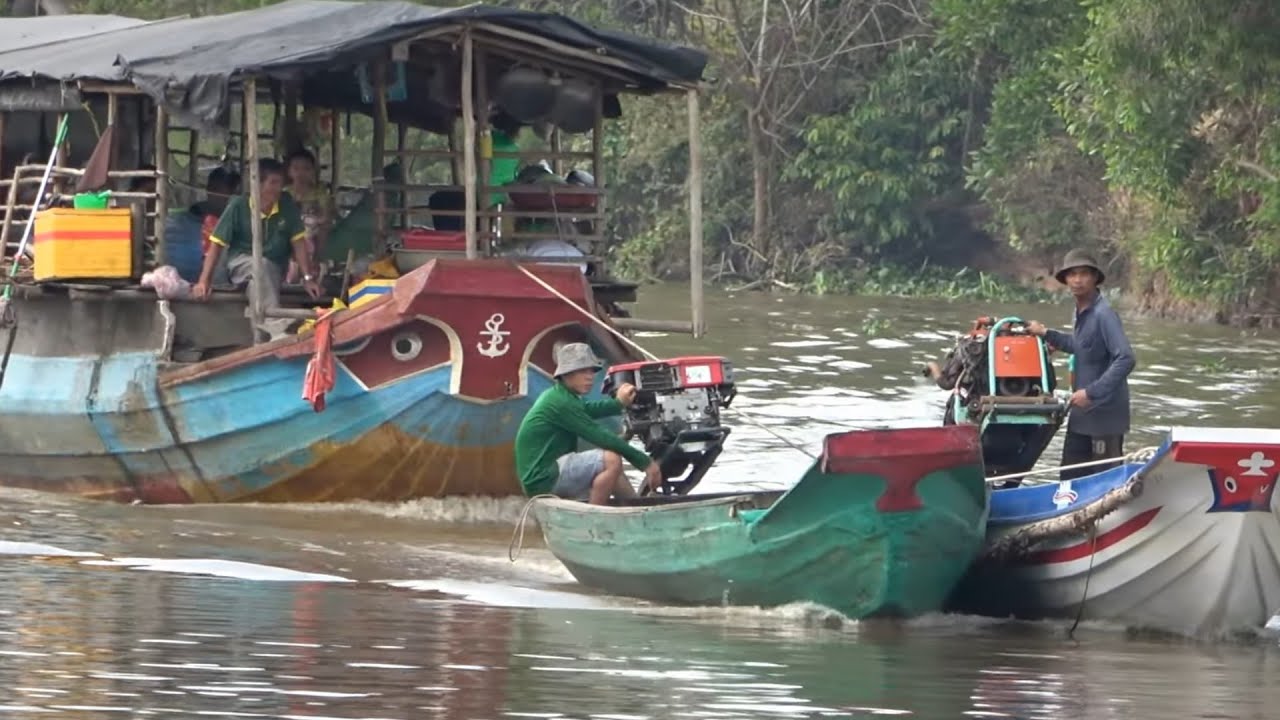 Cảnh hoạt động làm ăn sinh sống trên sông của người dân miền tây