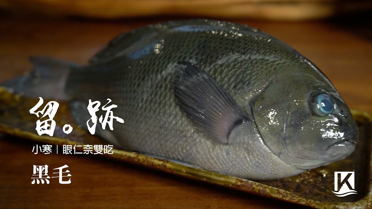留。跡｜EP12&mdash;小寒：黑毛 眼仁奈雙吃 Ft. @劉阿修