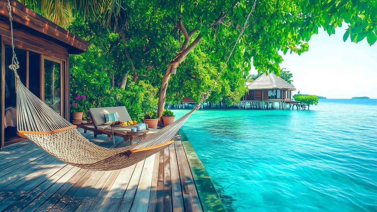 Relaxing Summer Jazz for Stress Relief🎧Tranquill Jazz With Nature Therapy For Study & Work