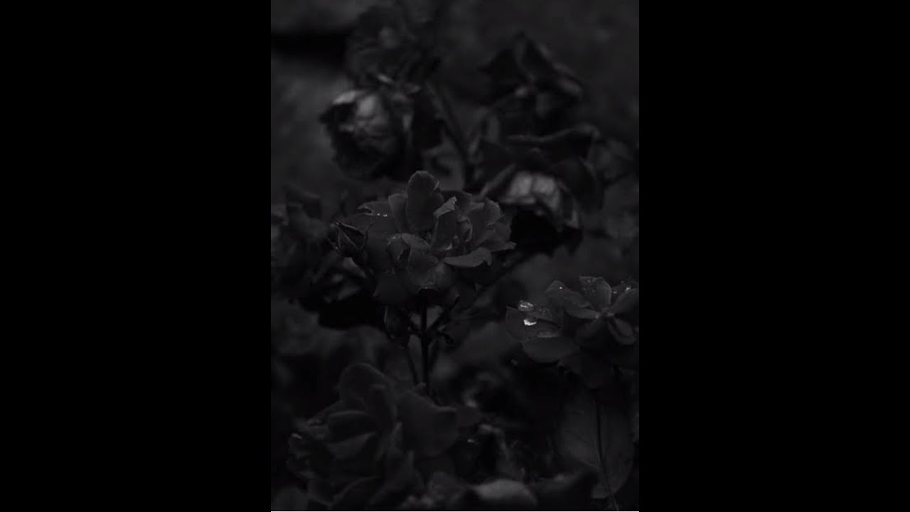 Aatuthottilil/neelaakasha cheruvil/ cover song/Fathima nasreen ❤️