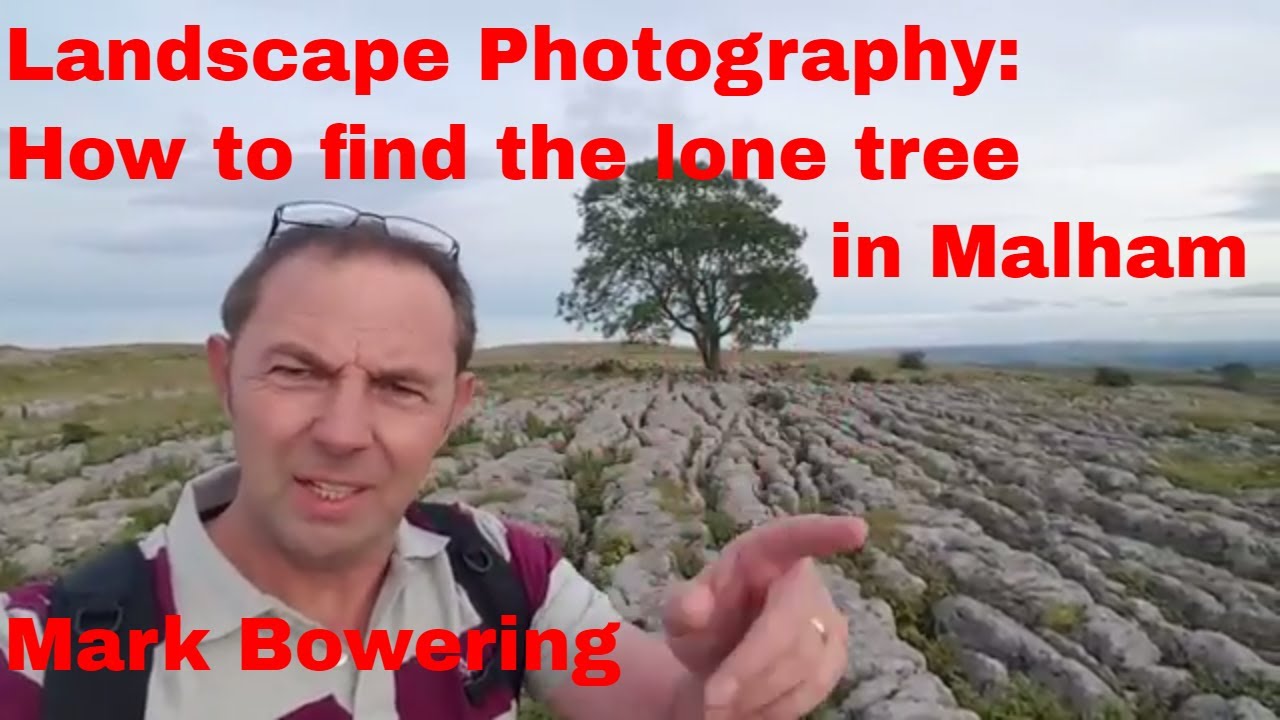 Landscape Photography - How to find the lone tree in Malham
