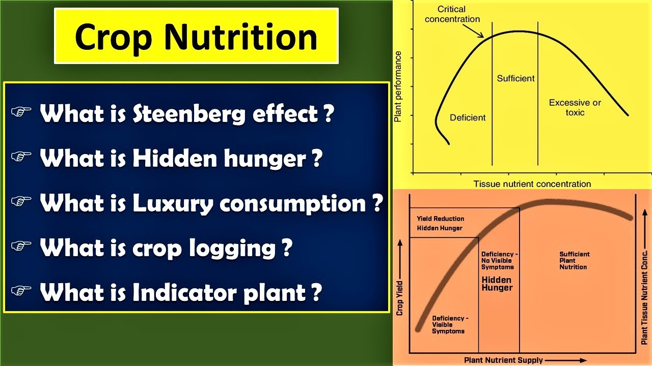 Plant nutrient status | Indicator plants | Crop logging | Hidden hunger | Luxury consumption
