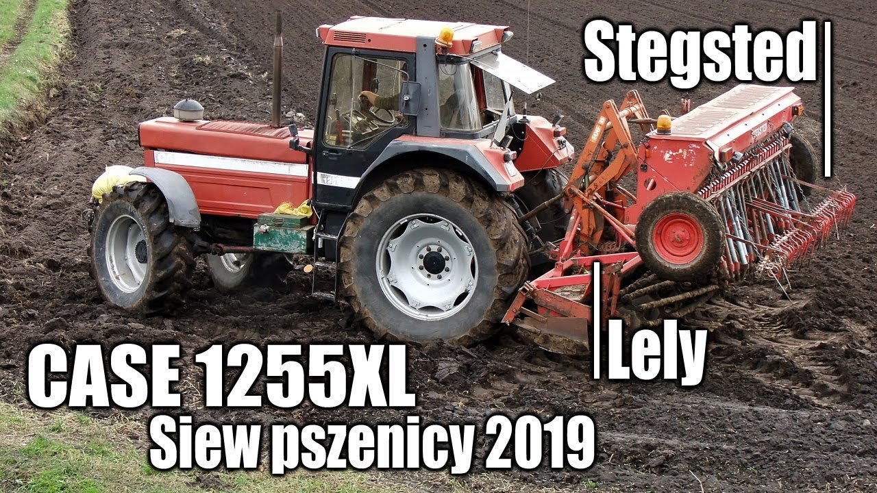 Siew pszenicy2019, w polu Case 1255XL z zestawem Lely + Stegsted