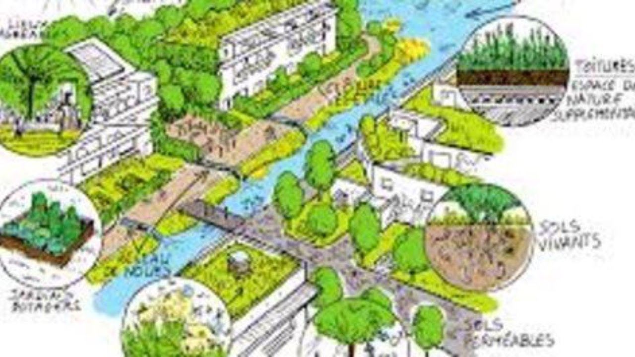 🌎 Renaturer la ville : le levier de la participation citoyenne