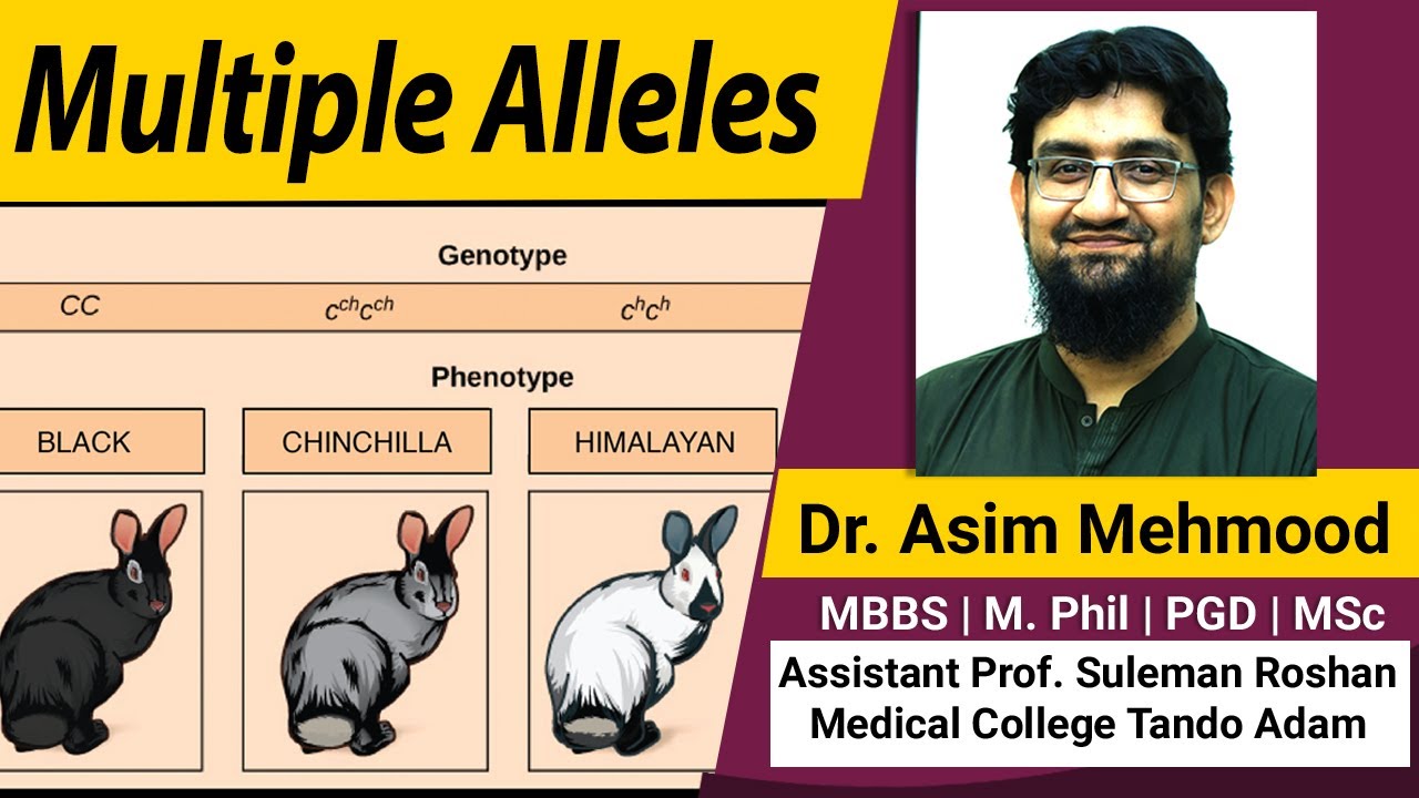 Multiple Alleles Made Easy ( Hindi / Urdu )