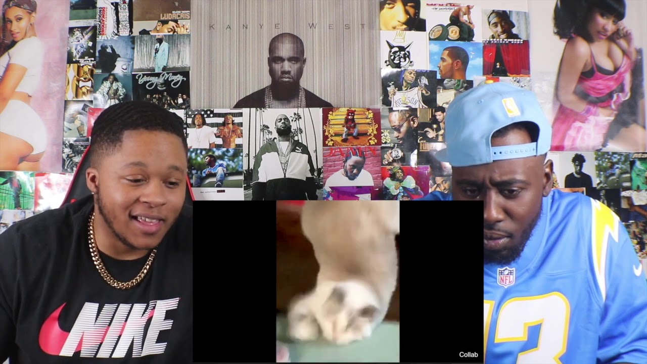 Best Of The Internet!! (2020) REACTION!!
