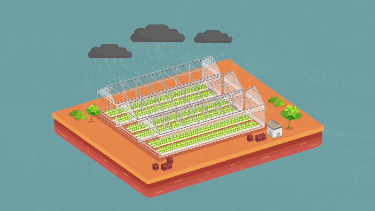 Cravo Explainer Video