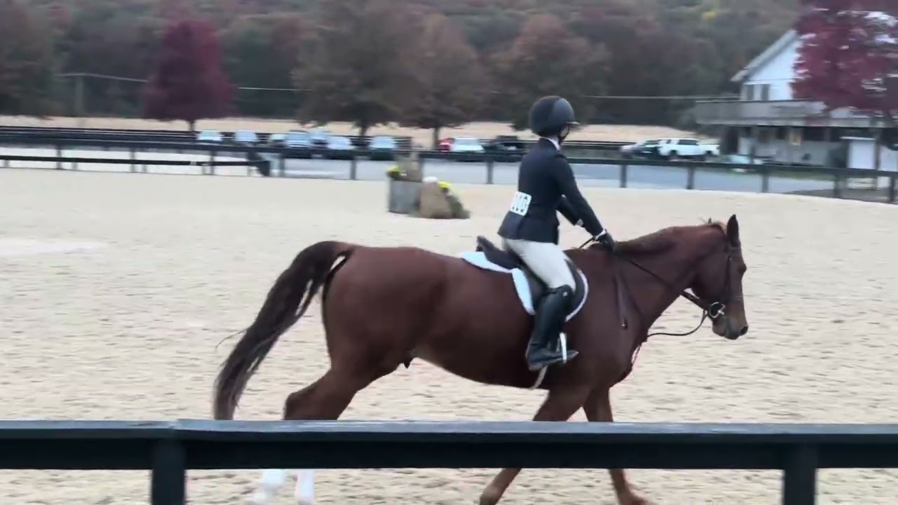 Riding Compilation