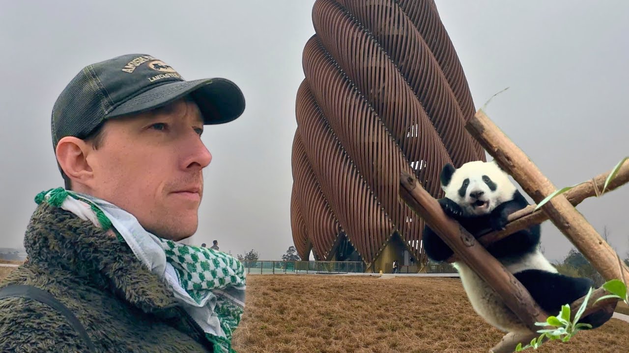 Insane Crowds To See China's Giant Pandas | Was It Worth It? 🐼