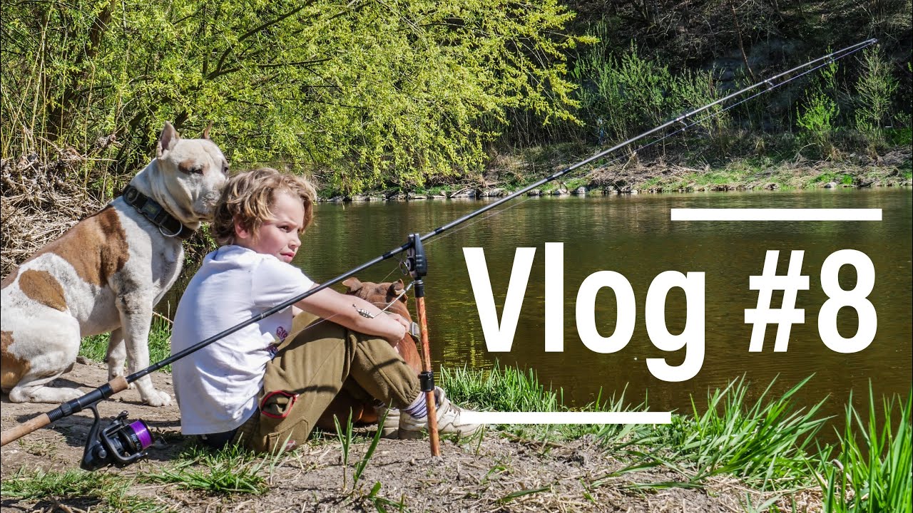 Carp Vlog #8 - Berounka vol.2