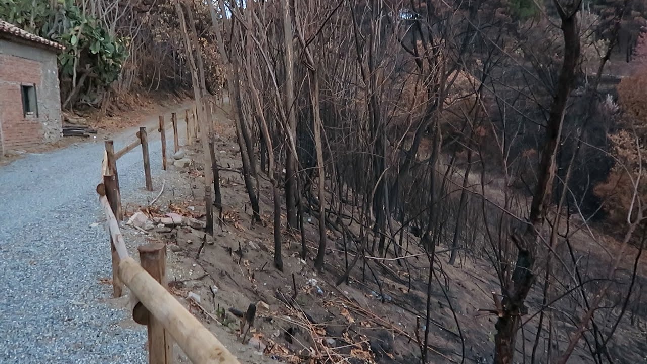 Un incendio ha colpito Nido di Seta | vlog