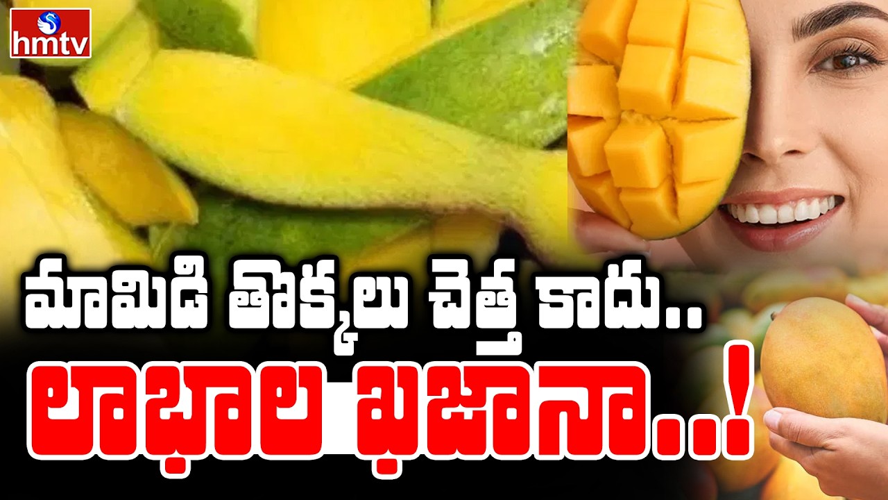 To The Point : మామిడి తొక్కలు చెత్త కాదు.. లాభాల ఖజానా..! | Money Mango Peel | hmtv