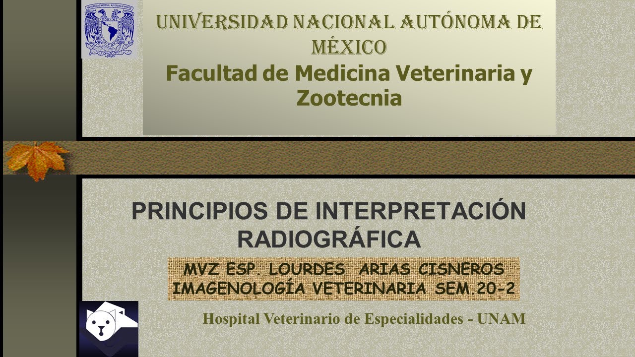 FMVZ UNAM-CLASES IMAGENOLOGÍA VETERINARIA Lunes 29 de junio de 2020. INTERPRETACIÓN. Dra Arias.