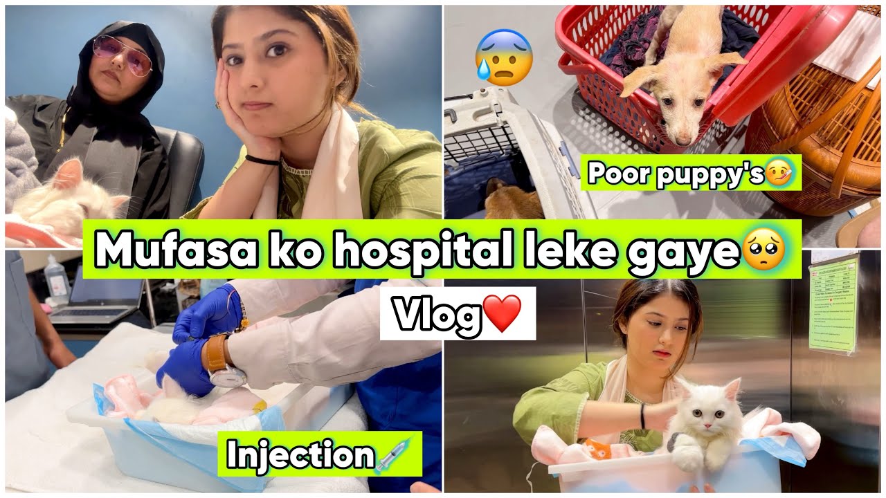 Mufasa ko hospital le gaye🥺🏥 | Vlog | Arishfa khan