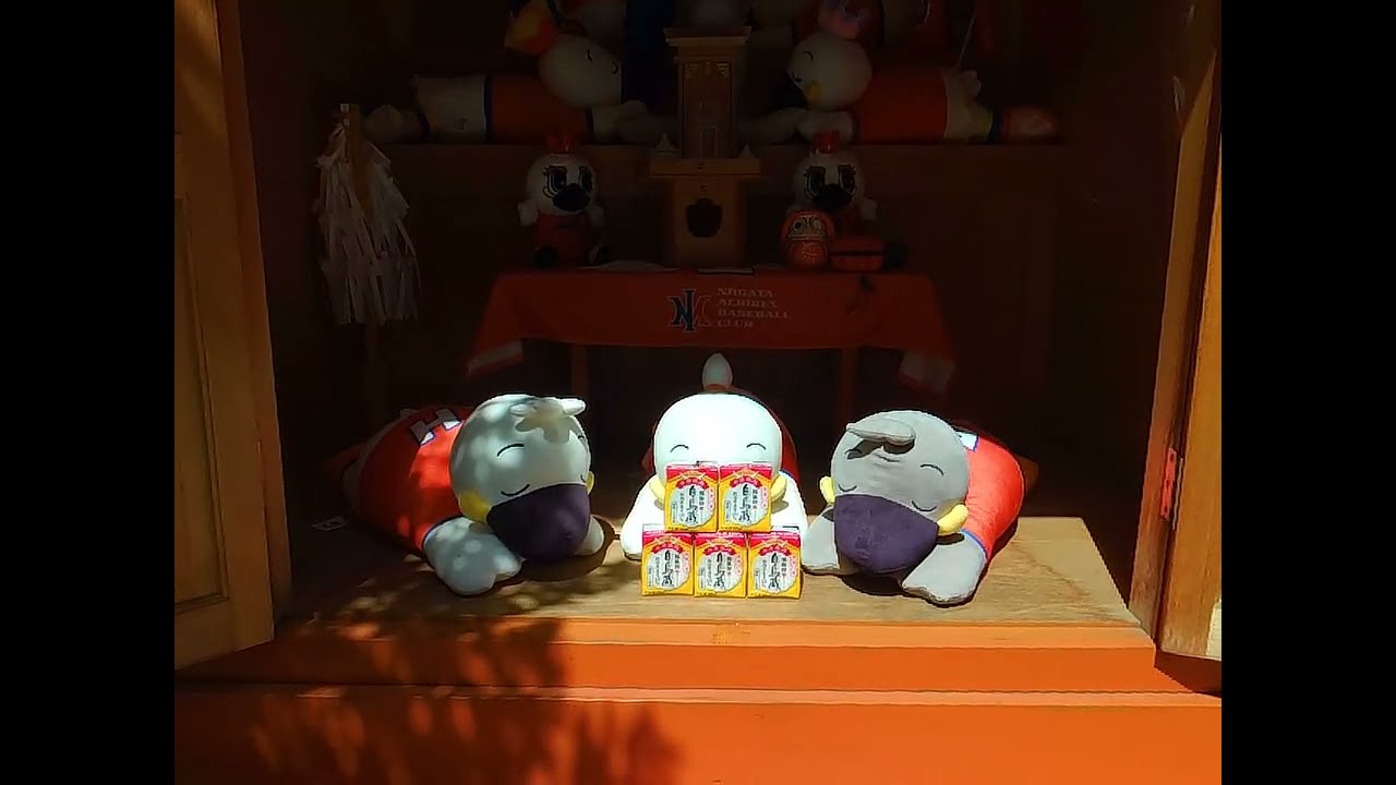 新潟県新潟市中央区 / 250505