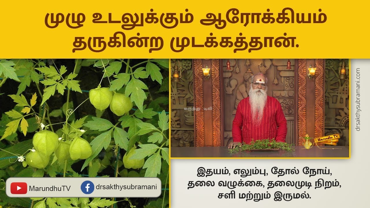 முழு உடலுக்கும் ஆரோக்கியம் தருகின்ற முடக்கத்தான் | Benefits of Mudakathan (Balloon vine)