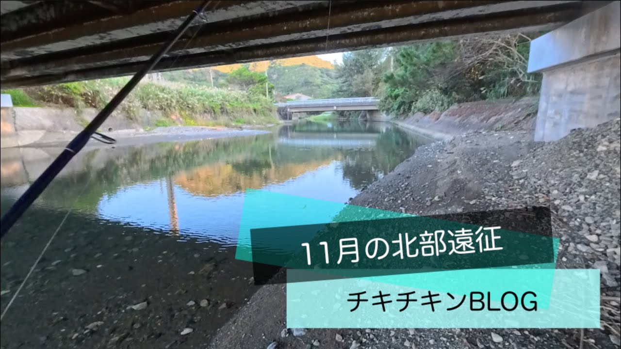 ［沖縄］11月の北部遠征［ルアーフィッシング］#沖縄 #釣り #ルアー釣り #fishing #fishingvideo