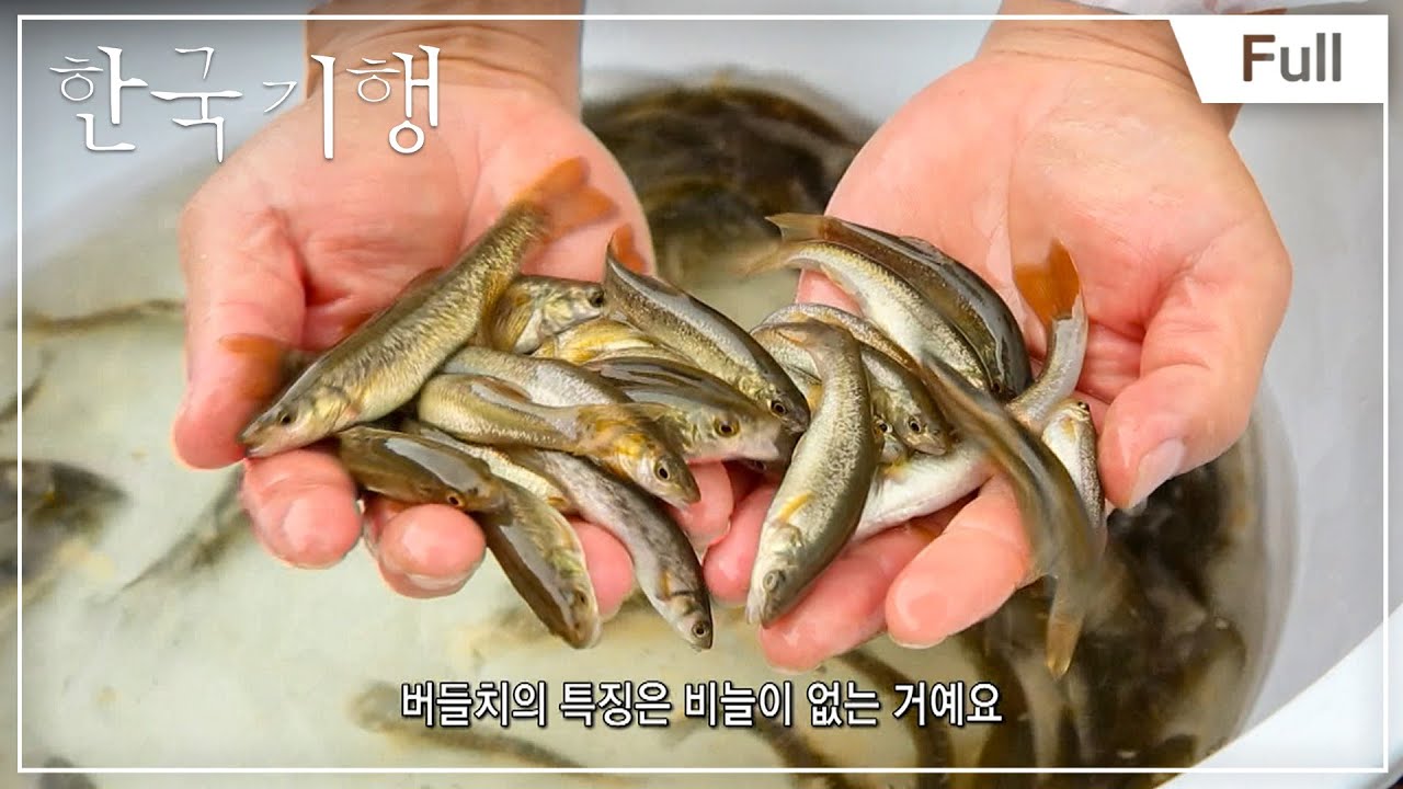 [Full] 한국기행 - 여름강변기행 - 제4부 한탄강에서의 청춘별곡