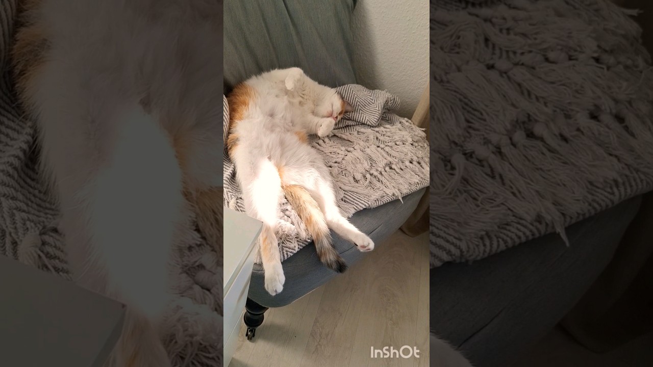 Маша устала 