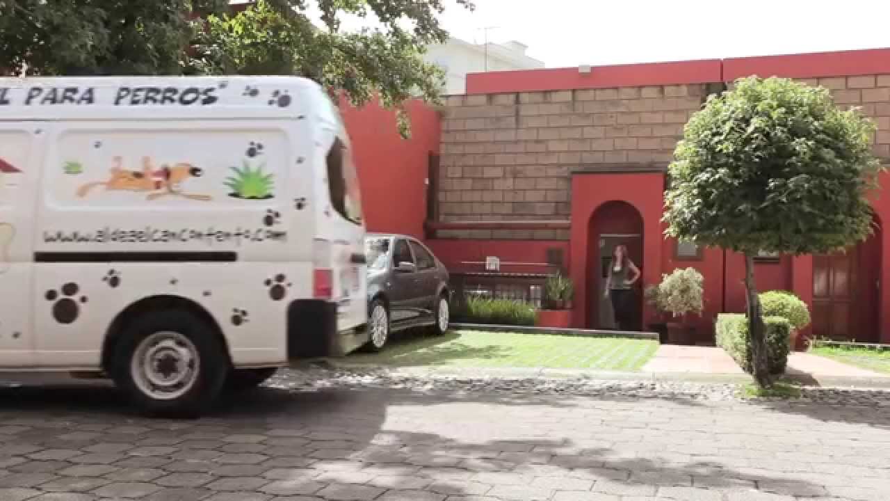 El Mejor Hotel de Perros en México...