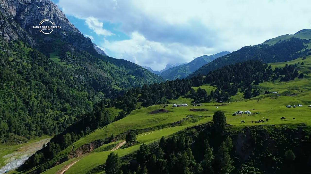 Sary-Oi Jailoo. Kyrgyzstan, Alay.