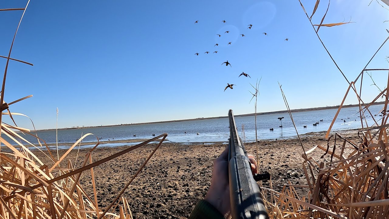 DUCK HUNTING Large Reservoir Lake - Mixed Bag Limit