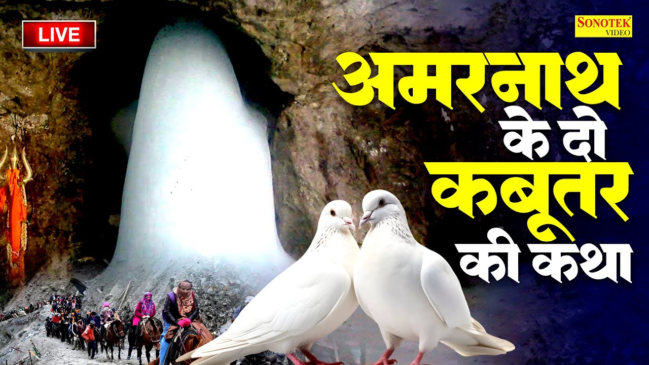 Live शिव जी की कथा :- यह अमरनाथ की कथा सुनते ही शिवजी सभी इच्छापूर्ण करेंगे|Amarnath Shiv Katha 2024