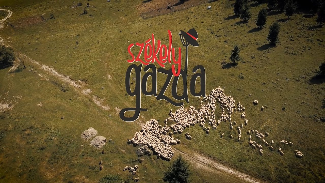 Székely Gazda 2025. július 19.
