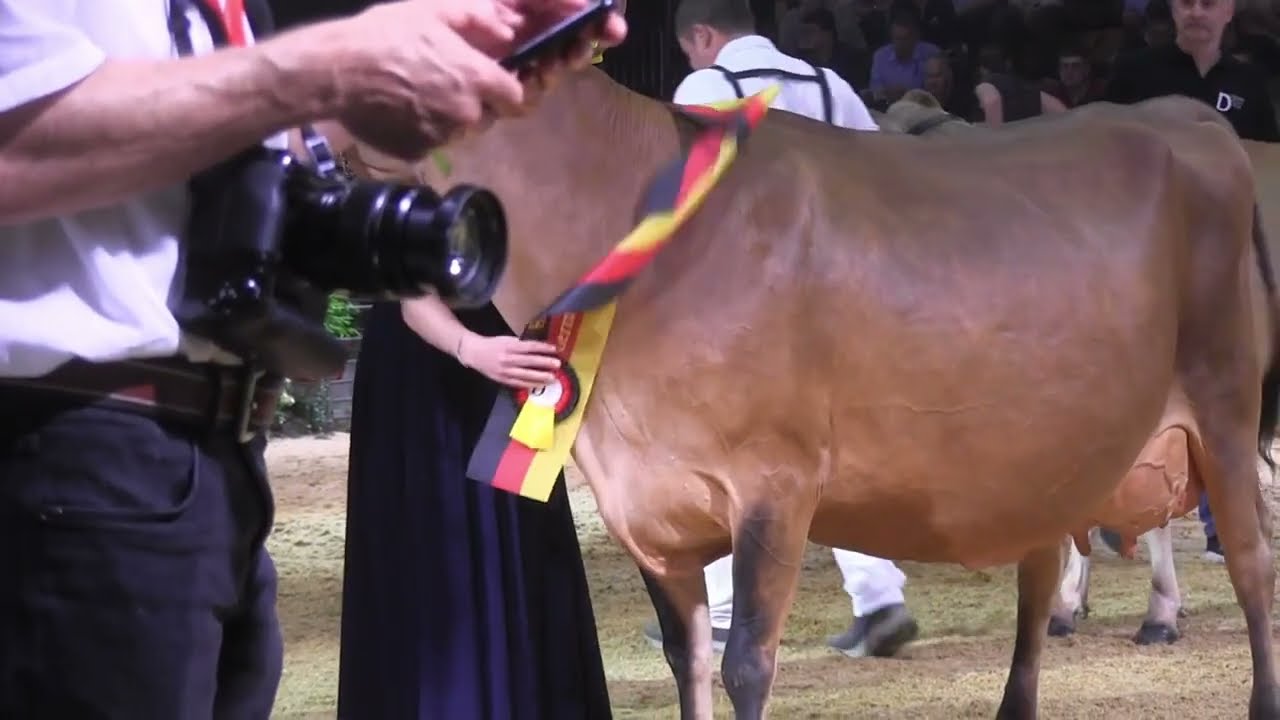 2025 12 02 CATTLE de German Dairy Show 2023 12