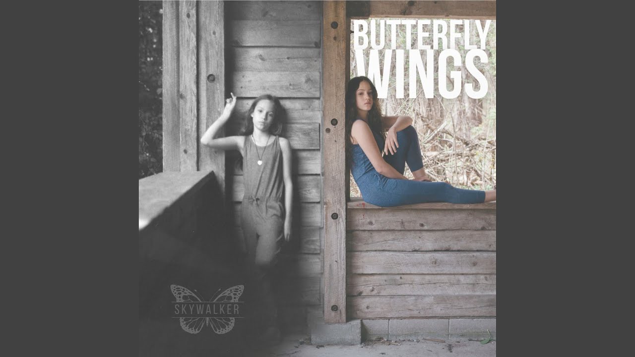 Butterfly Wings (Lighter 