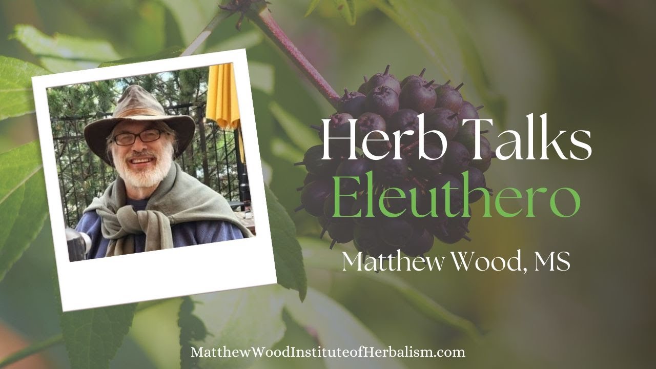 Herb Talks with Matthew Wood - Eleuthero/Siberian Ginseng
