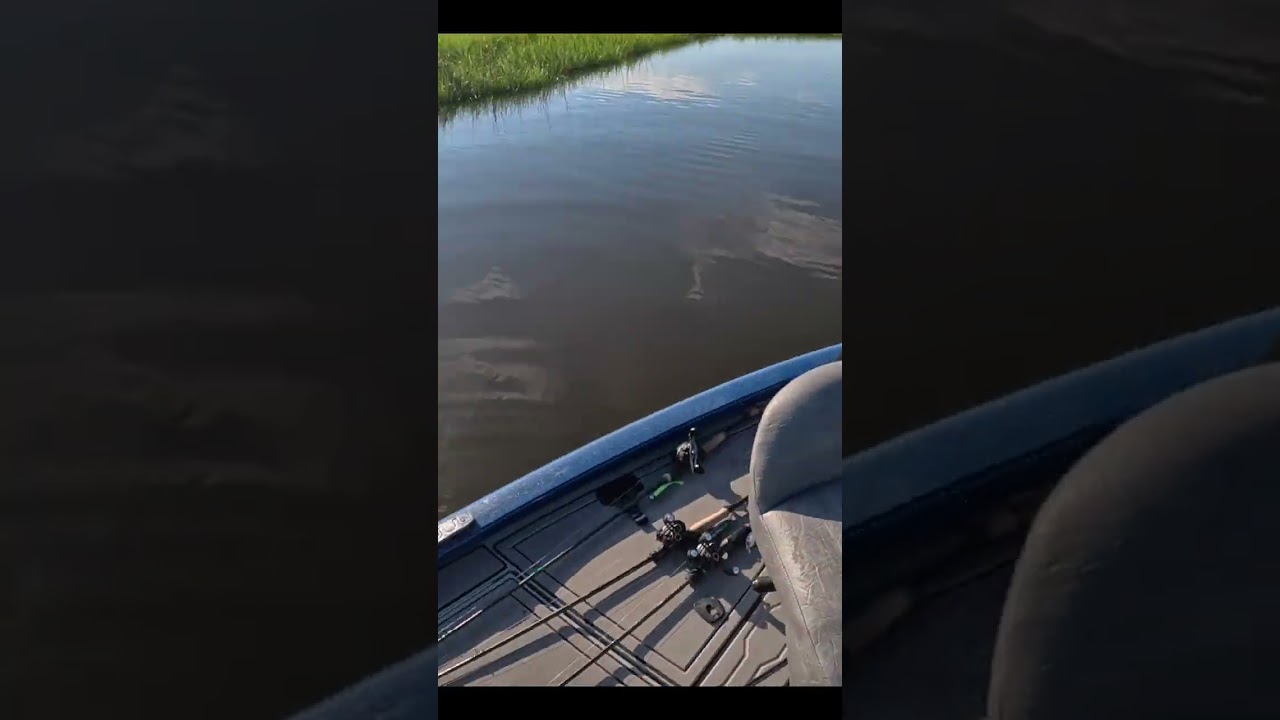 Fish LOVE This Bait's Tail Action!