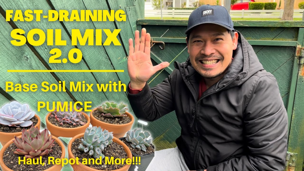 HOW TO MAKE FAST-DRAINING SOIL MIX WITH PUMICE | Repot Echeveria Haul