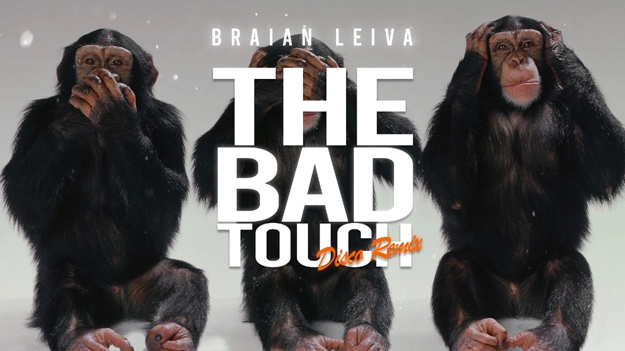 THE BAD TOUCH (Disco Remix) - Bloodhound Gang - Braian Leiva