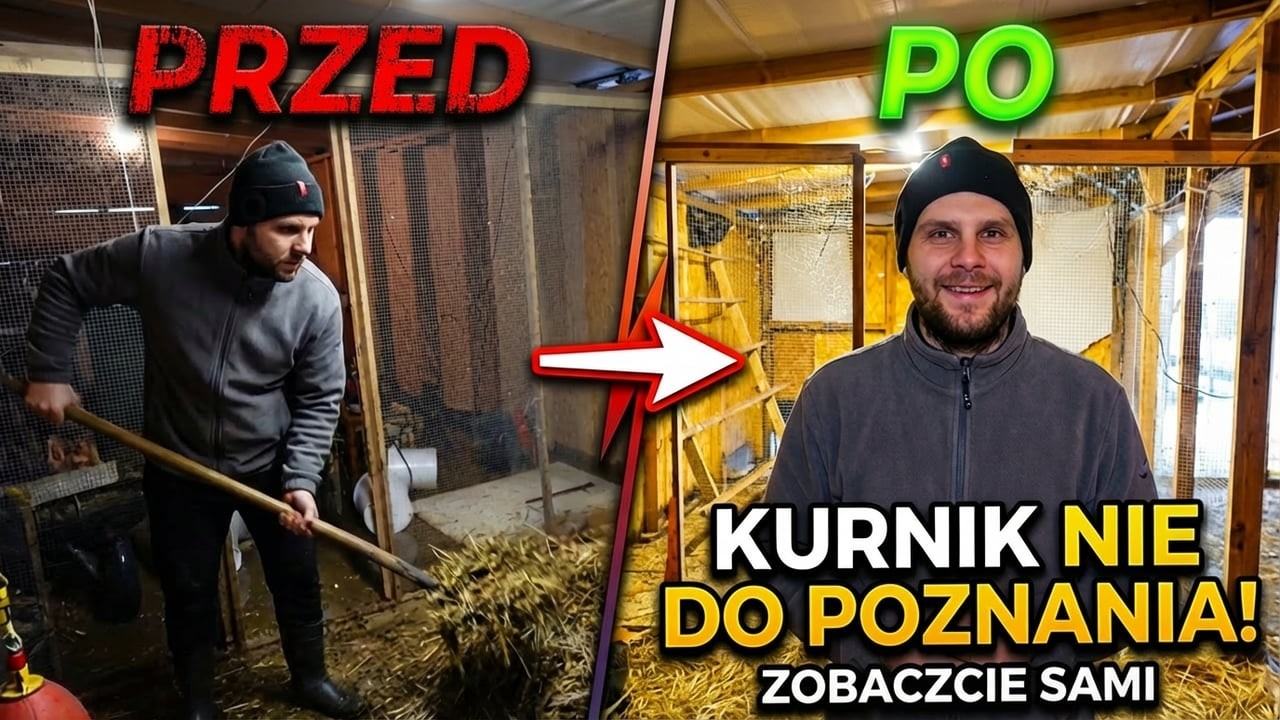 Kurnik już nie do poznania – zobaczcie sami