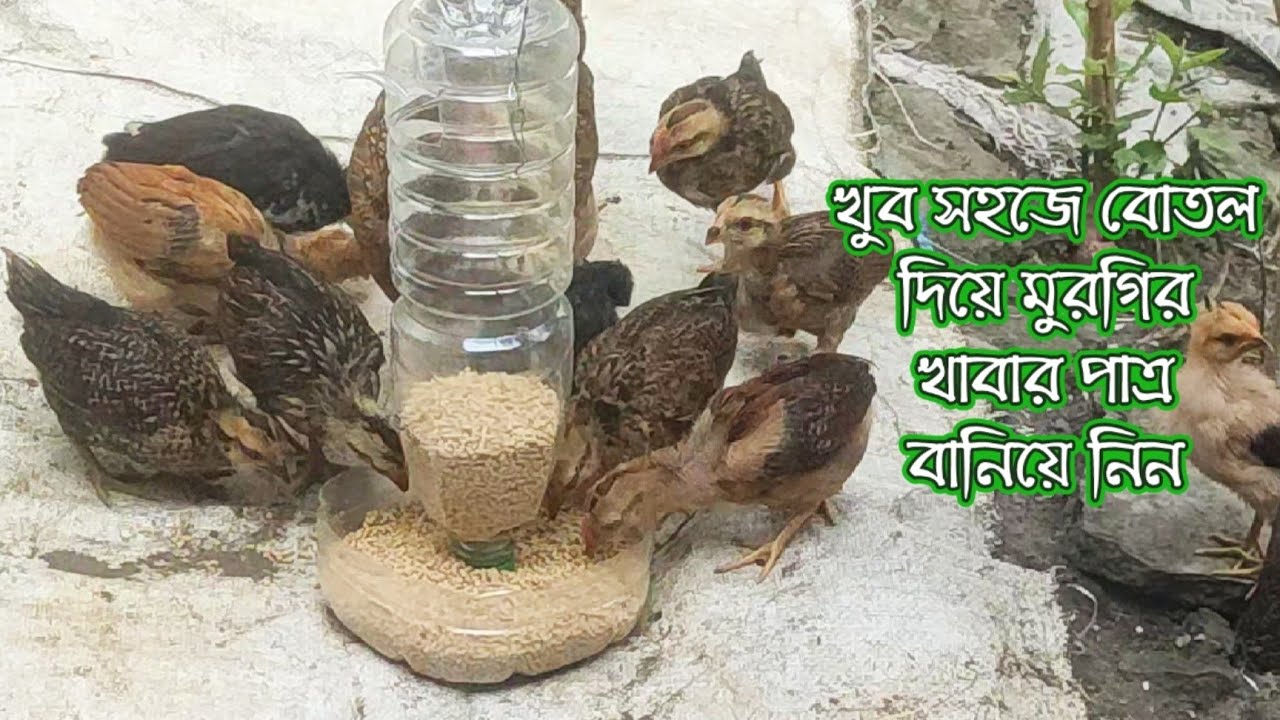 নতুন নিয়মে বোতল দিয়ে মুরগির খাবারের পাত্র খুব সহজে কিভাবে বানানো হয় দেখুন #মুরগির_খাবারের_পাত্র।