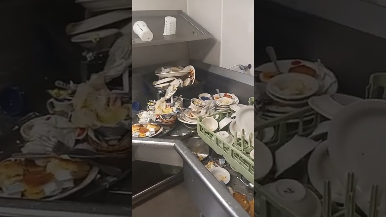 One of the world's fastest dishwasher