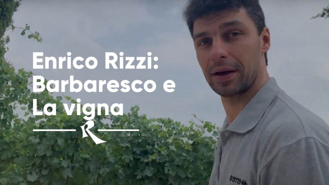 La vigna, Enrico Rizzi, Barbaresco