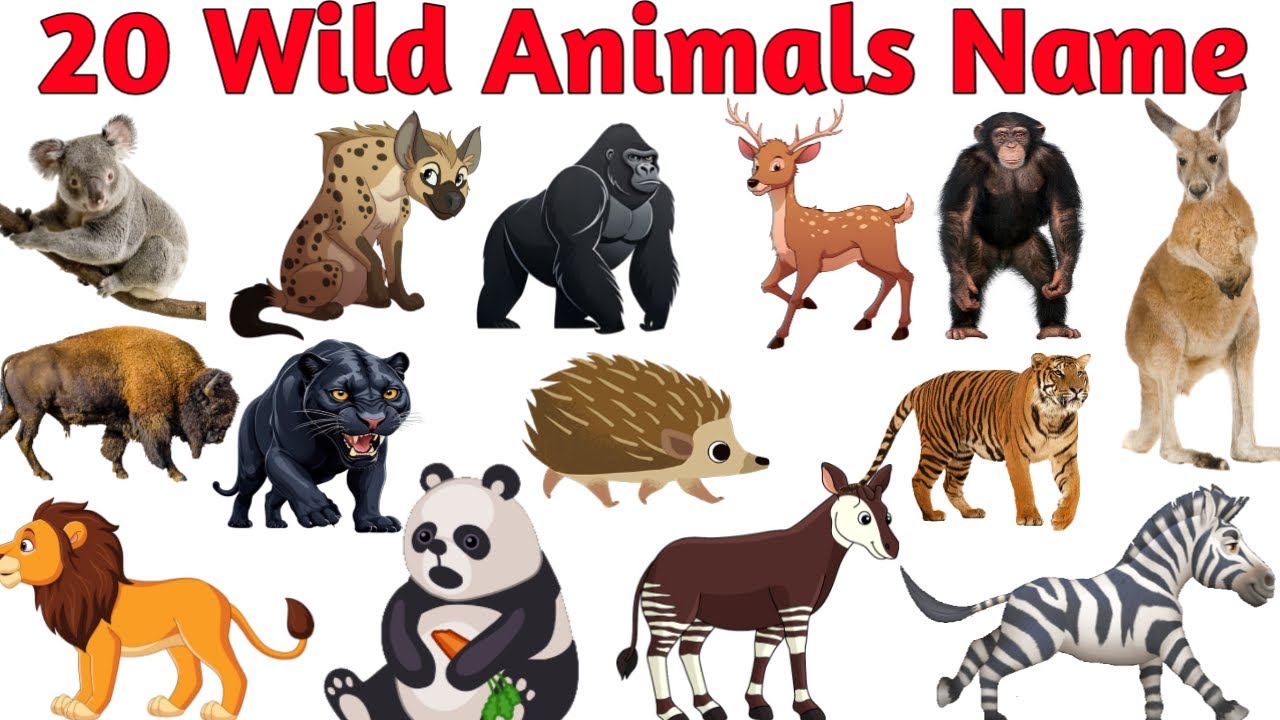 Названия 20 диких животных | Изучите названия 20 диких животных для детей | Видео о животных | На...