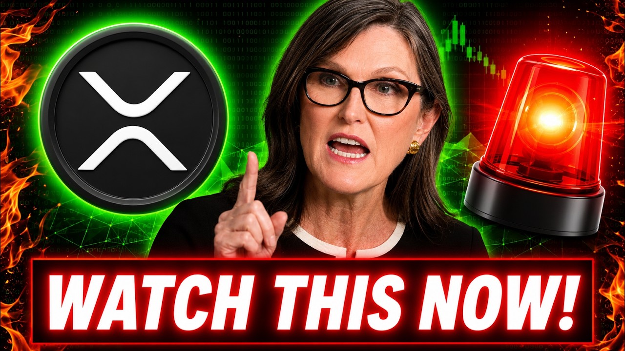 IF YOU OWN XRP YOU NEED TO WATCH THIS NOW - Cathie Wood