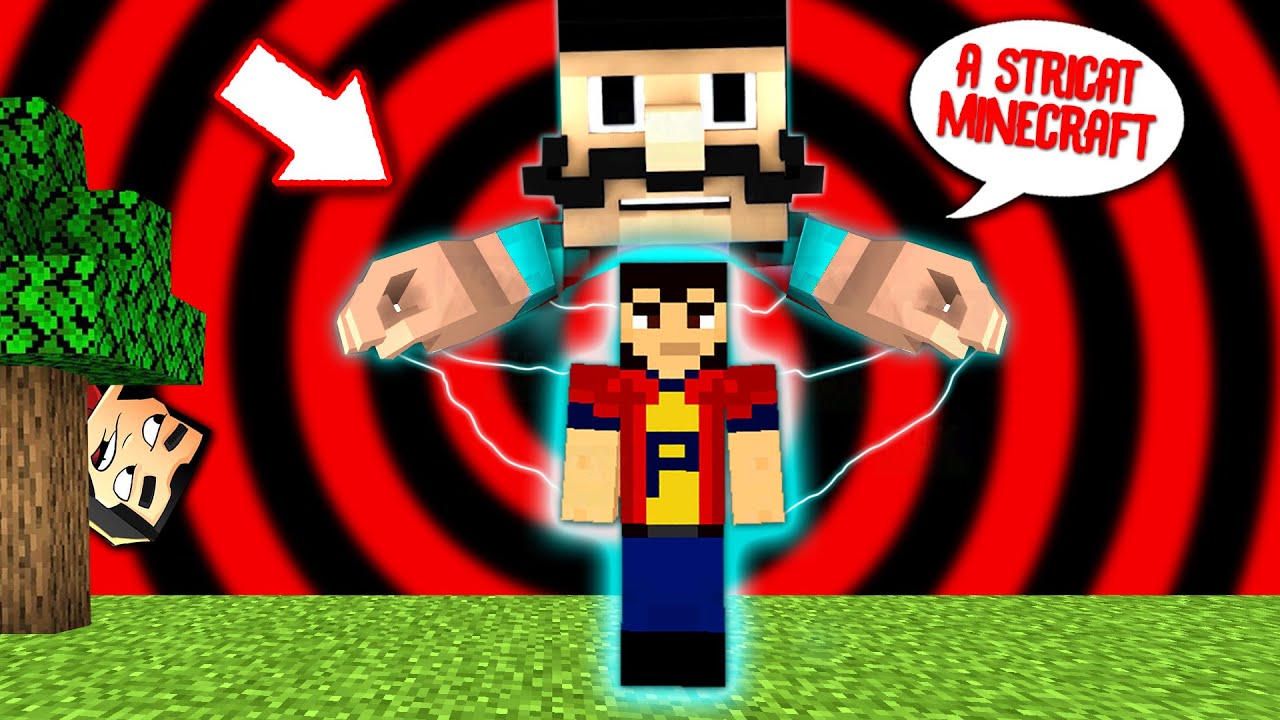MINECRAFT dar A STRICAT JOCUL!
